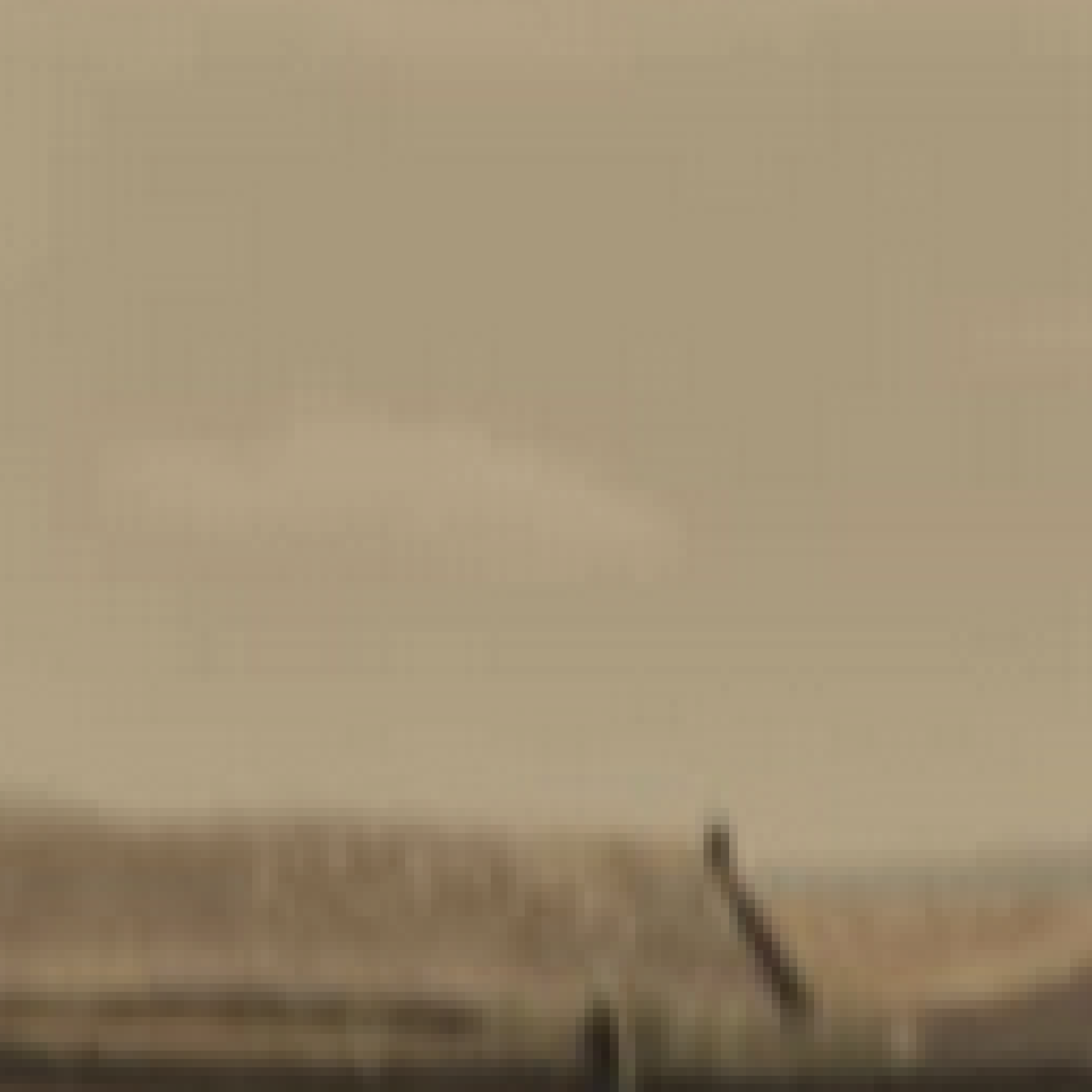 vitre-antelio-marron